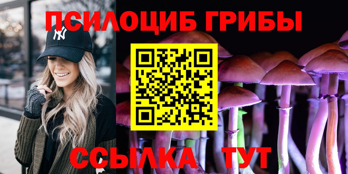 Тулун  Псилоцибиновые грибы ЛСД  Вход с VPN 